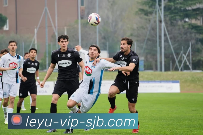 乐鱼体育 VIP，乐鱼体育 VIP，乐鱼体育官网，乐鱼体育APP，乐鱼高级功能服务体系